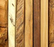Строительства деревянного дома из бревна – этапы